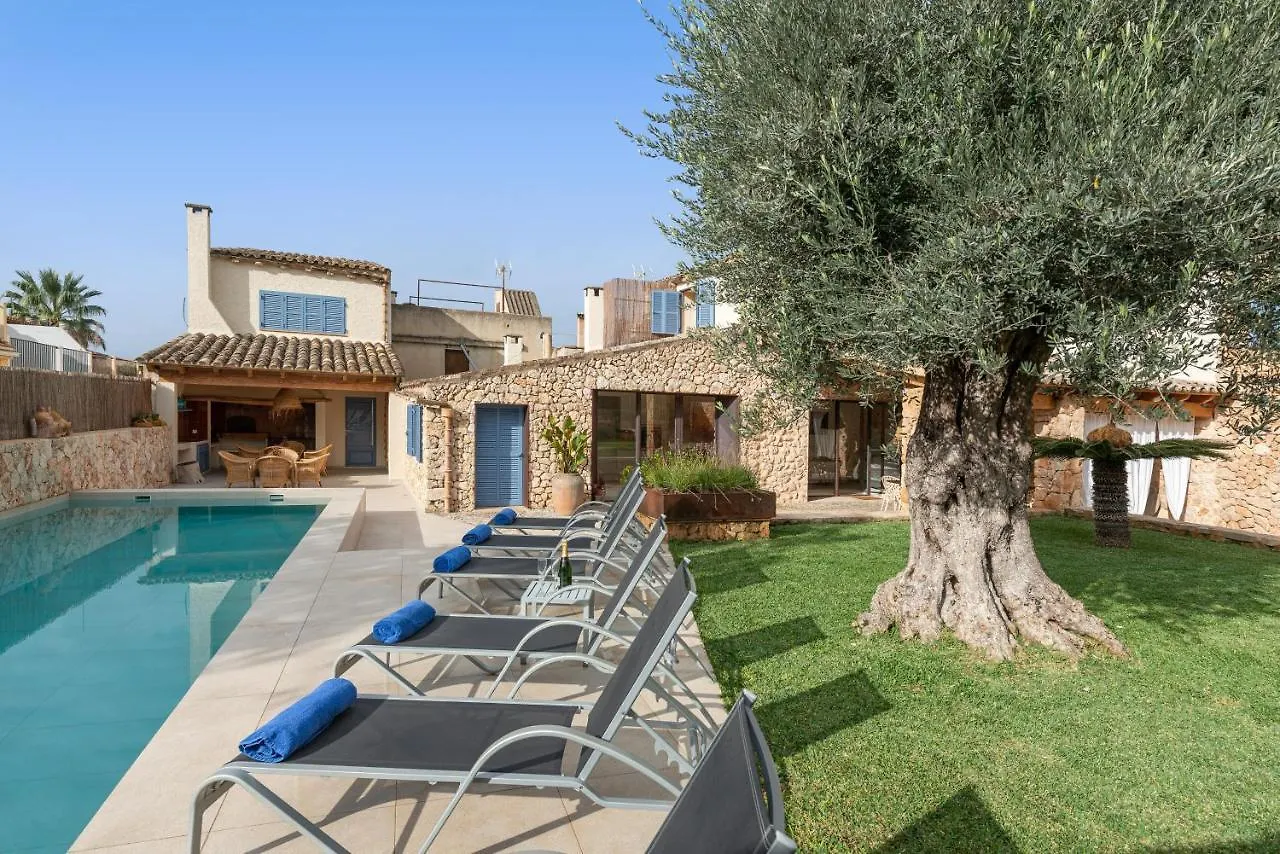 Can Font -Costitx- Villa
